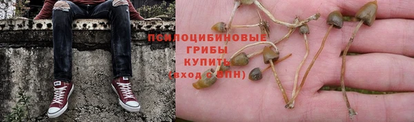 сатива Абинск