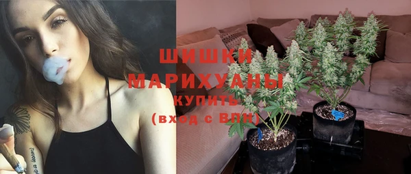 сатива Абинск