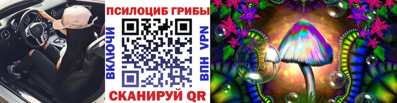Галлюциногенные грибы Psilocybe  Бийск 